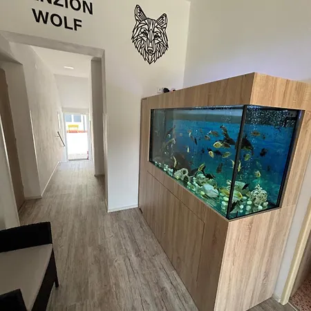 Guest house A Autokemp Wolf 3*